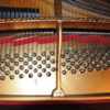 Steinway M Grand Piano 156953 - Picture 4