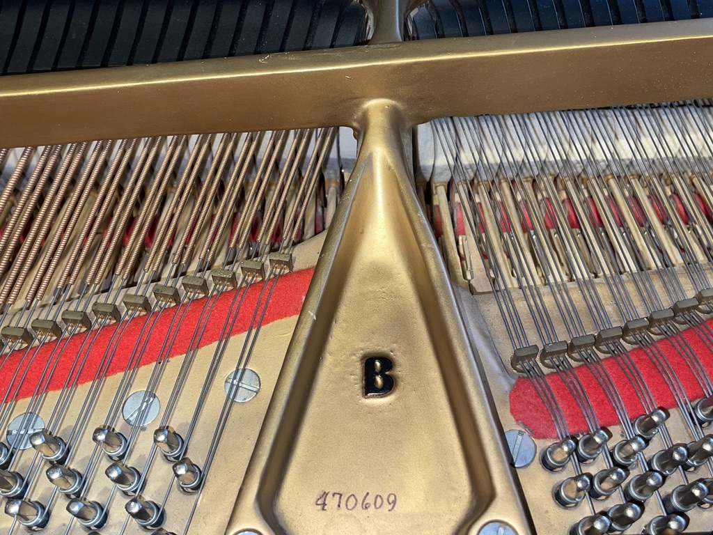 Steinway B Grand Piano - Image 12