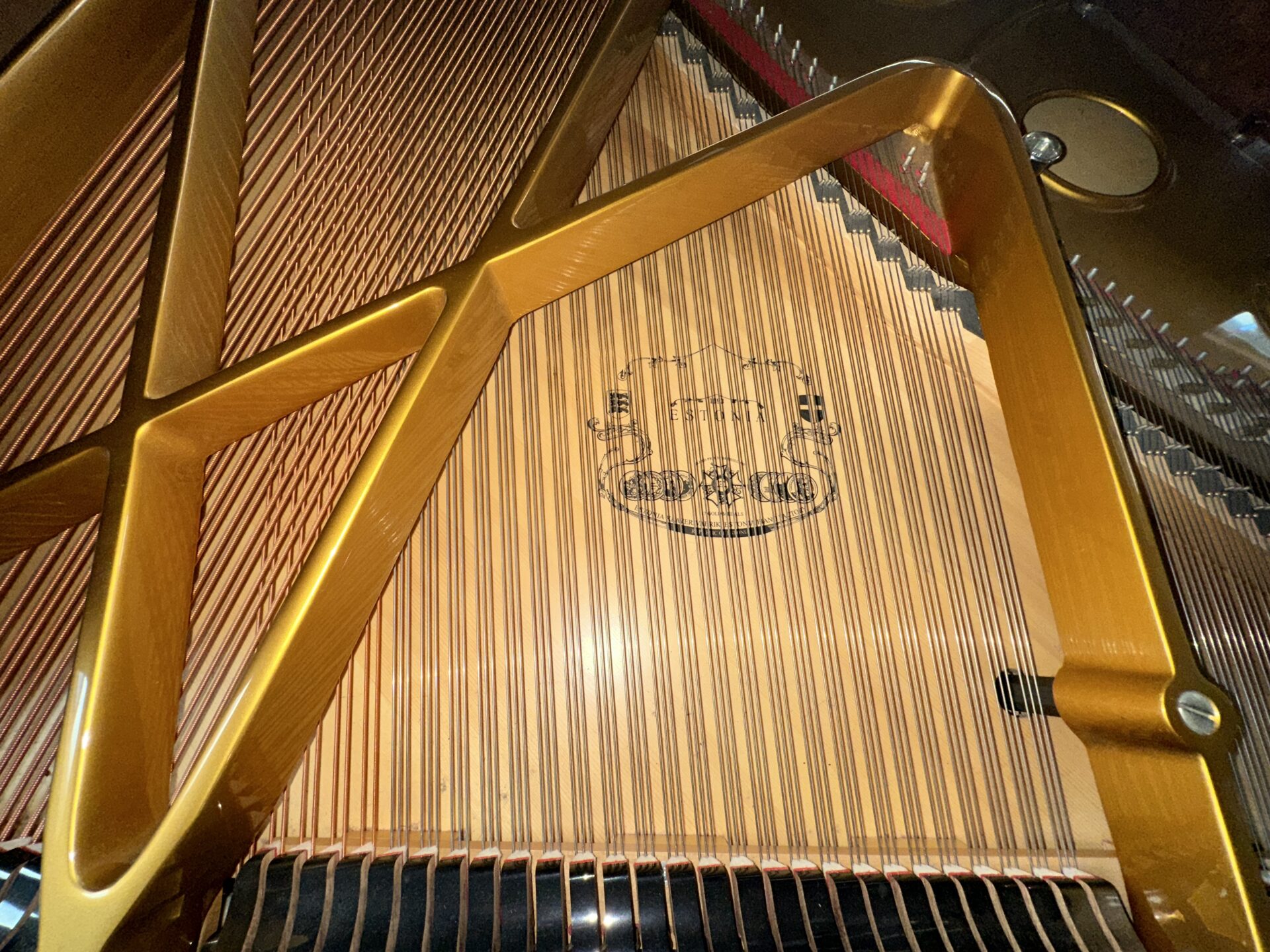 Estonia 190 Grand Piano - Image 7