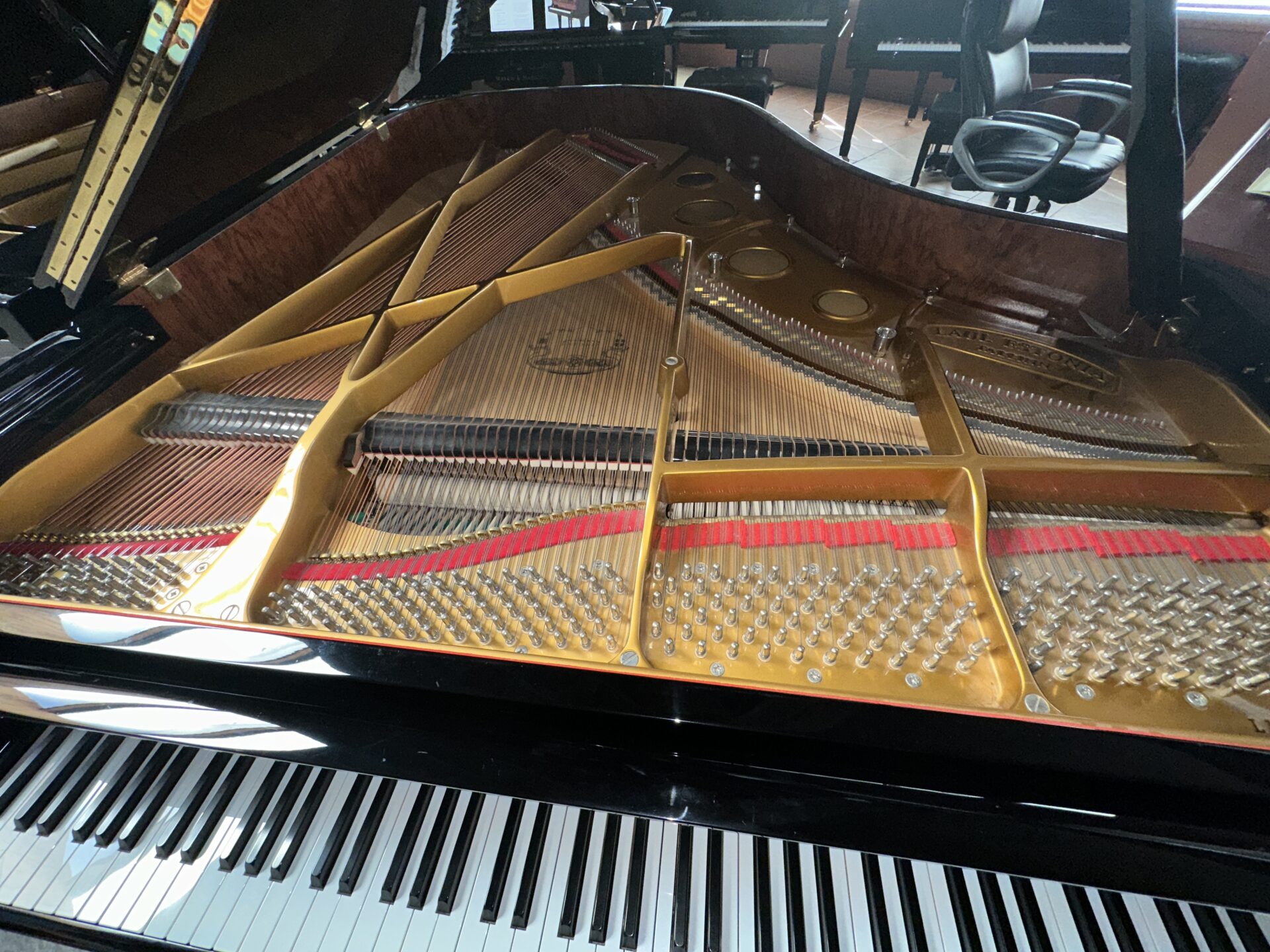 Estonia 190 Grand Piano - Image 6