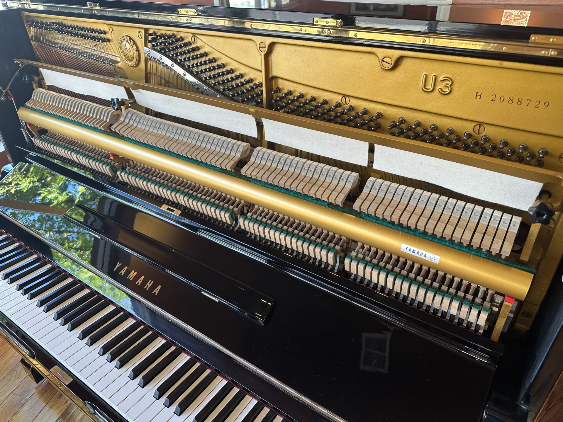 Yamaha U3 Upright Piano - Image 6
