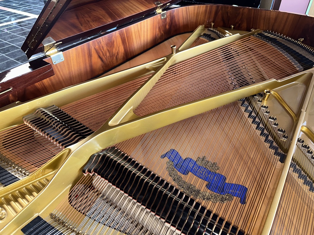 Schimmel 189DE Grand Piano - Image 14