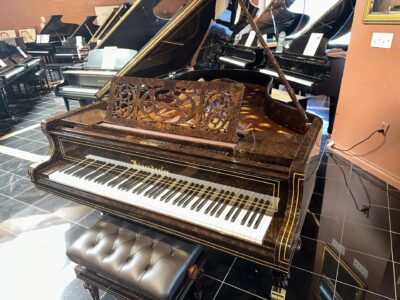 Bosendorfer 200 Vienna Designer Edition Grand Piano