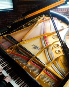 mason-and-hamlin-plate-from-michelles-piano-in-portland-or